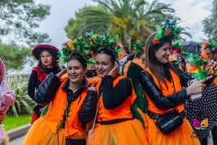 Maskarana-povorka_2025_LQ-97