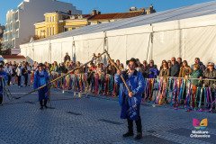 IMG_5782